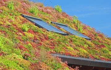 Dudley Wood living roof systems